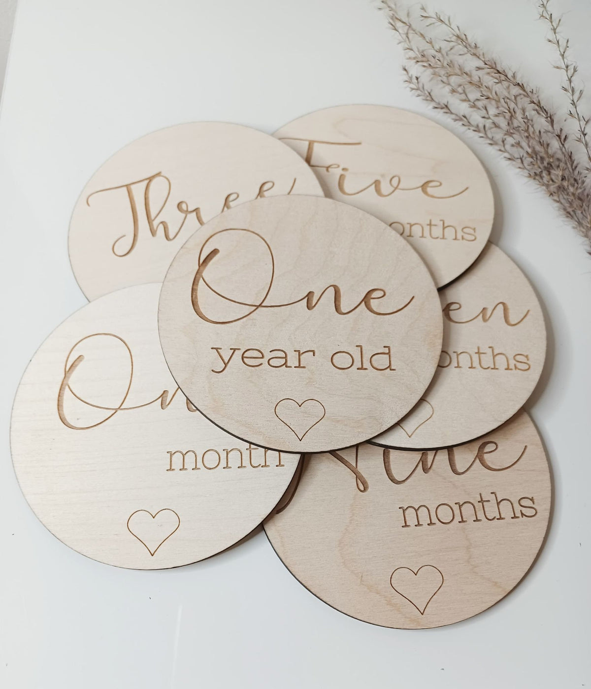 Baby Milestone Disc Set