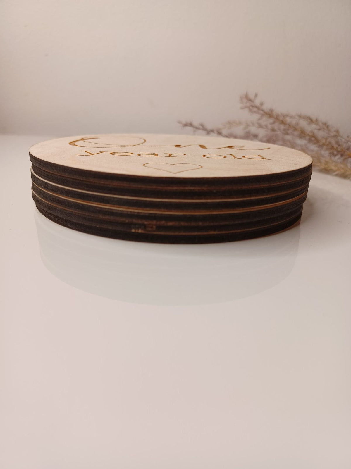 Baby Milestone Disc Set