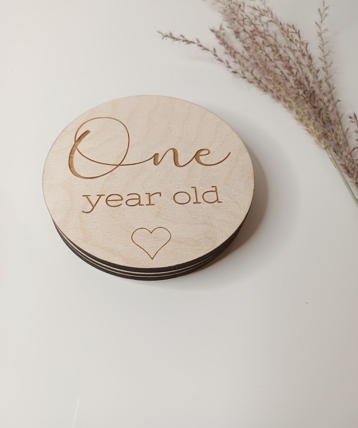 Baby Milestone Disc Set