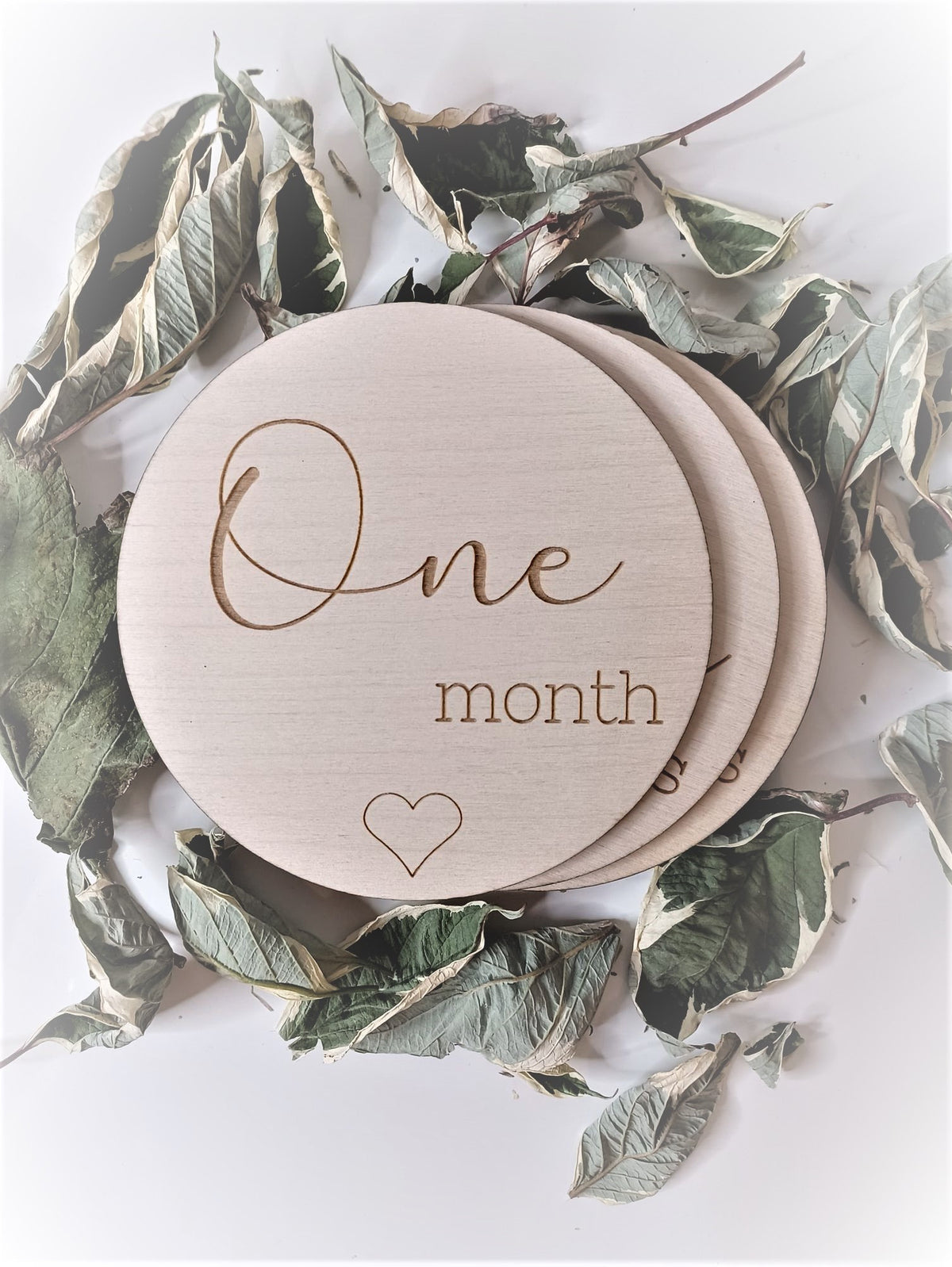 Baby Milestone Disc Set