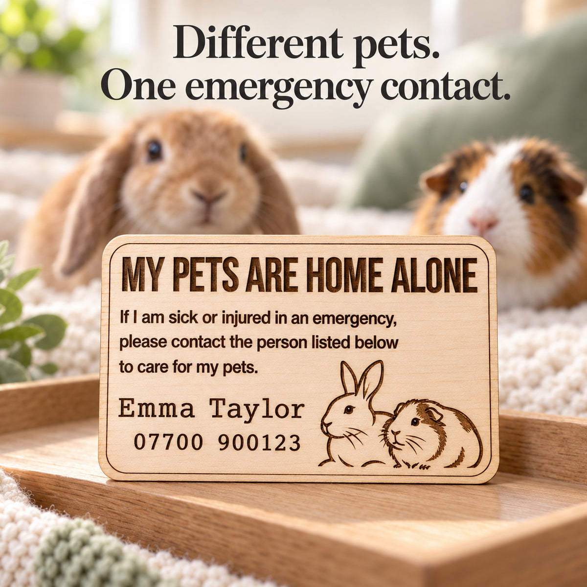 My Pets Are Home Alone emergency contact card personalised with rabbit and guinea pig illustrations for a multi-pet home.