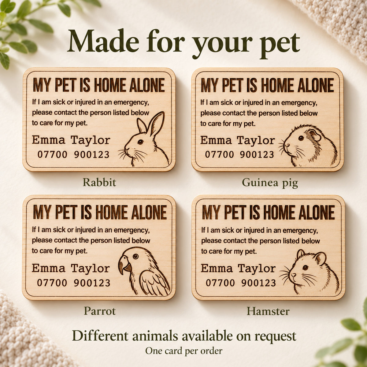 Pet home alone card design examples for a rabbit, guinea pig, parrot and hamster, with other animals available on request.